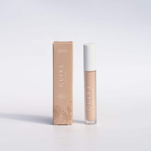 Load image into Gallery viewer, Eyebright Concealer